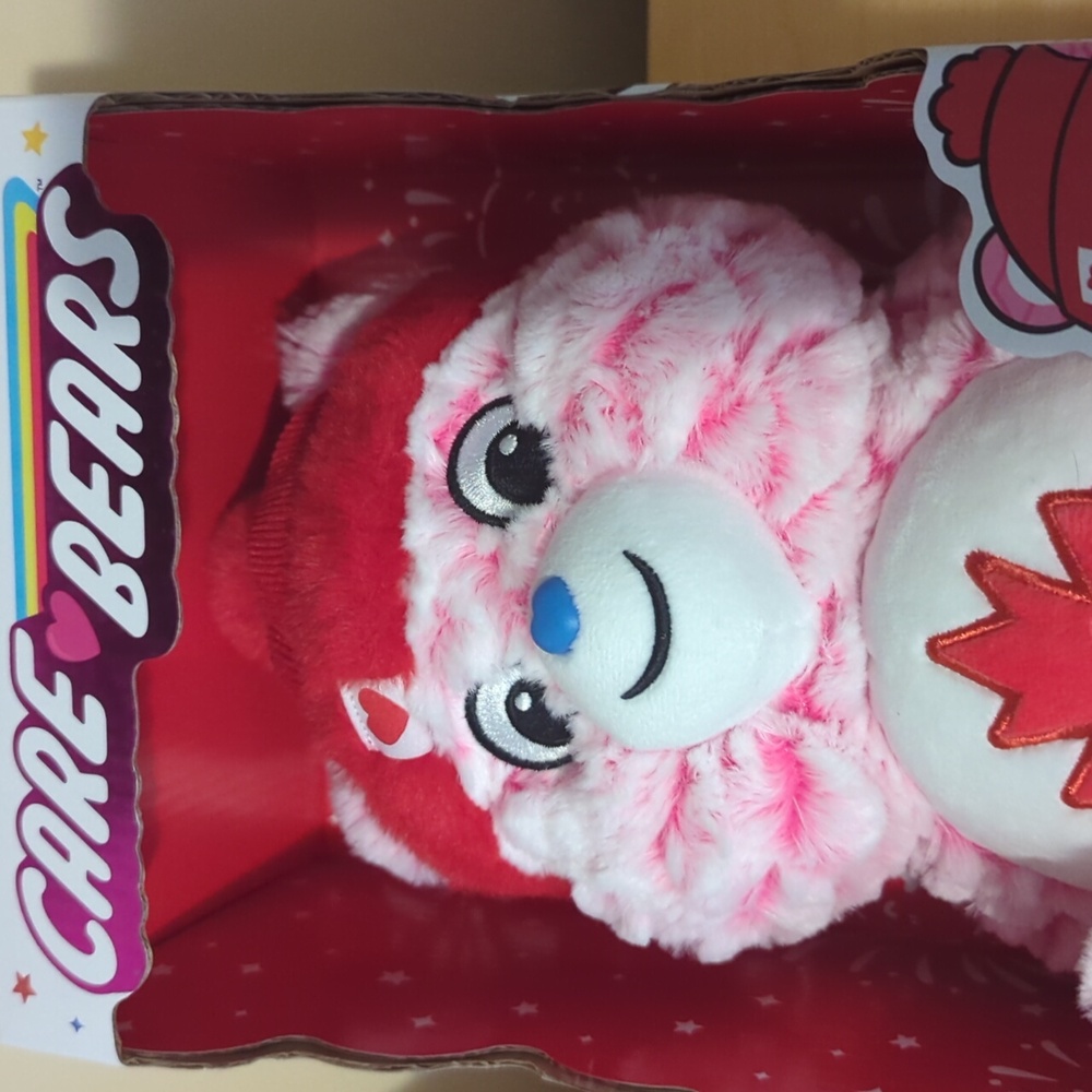 Care Bears Brand New True North Bear - Picture 8 of 13